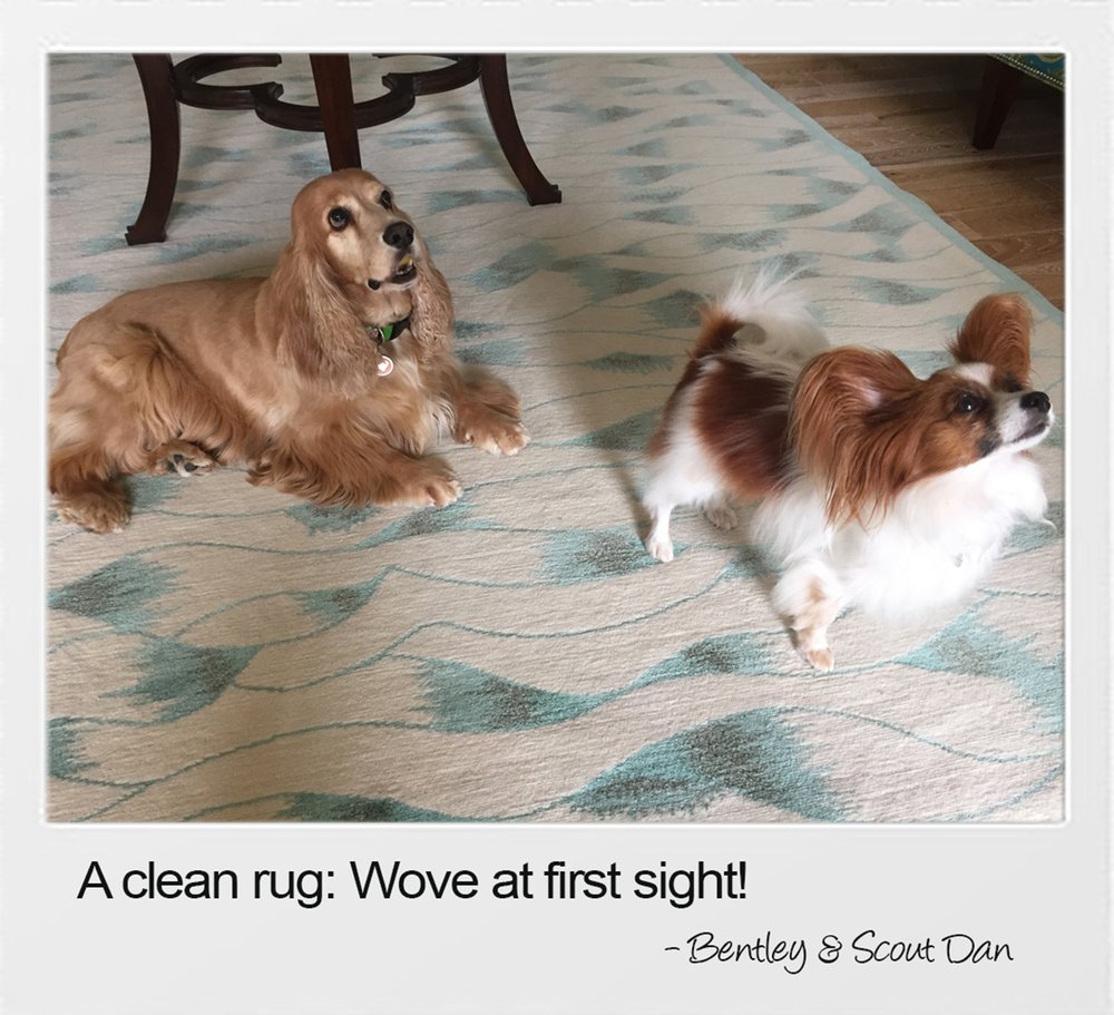 NAPLES RUG SPA 12 Photos 4081 Mercantile Ave, Naples, Florida