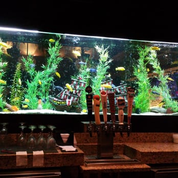 Cheddar's Scratch Kitchen - Cool aquarium at the bar! - American Near Me - Avon, Indiana Cheddar's Scratch Kitchen - Cool aquarium at the bar! - American Near Me - Avon, Indiana
