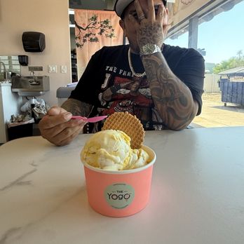 The Yogo - Desserts Near Me - San Diego, California The Yogo - Desserts Near Me - San Diego, California