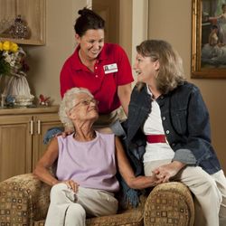 Professional Caretakers