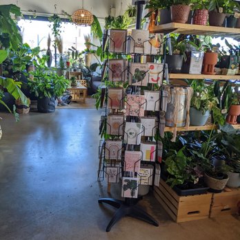 Cafe Conmigo - Coffee & Tea Near Me - Wexford, Pennsylvania Cafe Conmigo - Coffee & Tea Near Me - Wexford, Pennsylvania