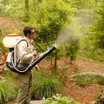 Pointe Pest Control - Pest Control Near Me - Orland Park, Illinois
