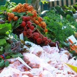 Queens Park Farmers Market
