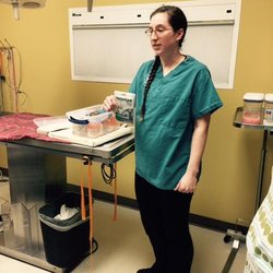 Animal House Veterinary Hospital - Dr. Pruss gives a lecture to a Girl Scout troop on pet care and disease