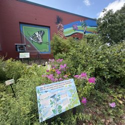 Joe's Movement Emporium