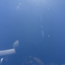 Redhawk Car Wash - Spots on all windows