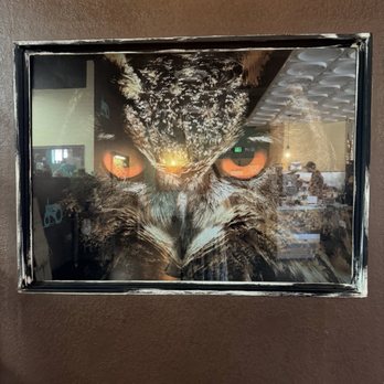 Yaw Farm Coffee Roaster - Coffee Roasteries Near Me - Las Vegas, Nevada Yaw Farm Coffee Roaster - Coffee Roasteries Near Me - Las Vegas, Nevada