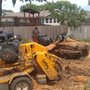 Photo of Silvestree's Tree Service