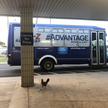 Advantage Rent A Car - Shuttle and chicken - Car Rental Near Me - Lihue, Hawaii Advantage Rent A Car - Shuttle and chicken - Car Rental Near Me - Lihue, Hawaii