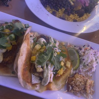 Kaya Island Eats - Killer fish taco - Caribbean Near Me - Key West, Florida Kaya Island Eats - Killer fish taco - Caribbean Near Me - Key West, Florida