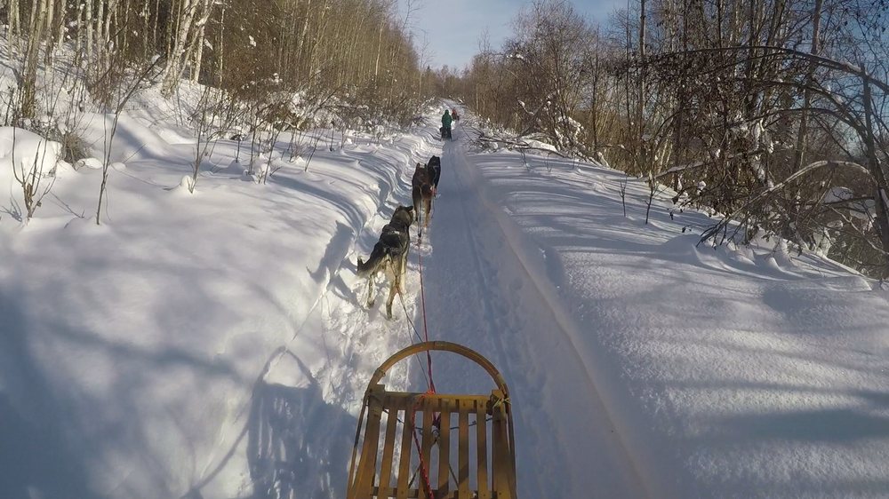 LANCE MACKEY’S COMEBACK KENNEL 2134 Resolution Rd, Fairbanks, Alaska