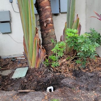 Ottos Tree Service - Tree Services Near Me