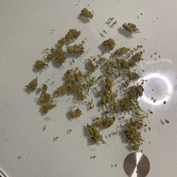 Dirt medicine.
