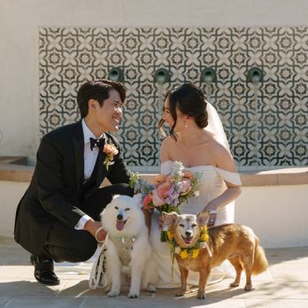 Cerritos Florist - Dog Collar 3 - Florists Near Me - Cerritos, California