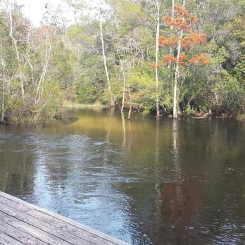 Turkey Creek Park - Parks Near Me - Niceville, Florida Turkey Creek Park - Parks Near Me - Niceville, Florida