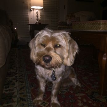 Barkberry Place - Pet Groomers Near Me - Fayetteville, Arkansas