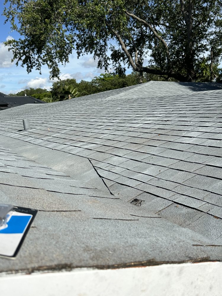 Slide of Tomas Roofer