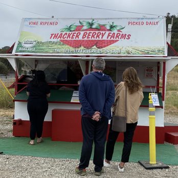 Thacker Berry Farms - Fruits & Veggies Near Me - Palos Verdes, California Thacker Berry Farms - Fruits & Veggies Near Me - Palos Verdes, California