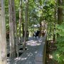 Photo of Palisades Overlook