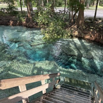 Ginnie Spring - Rafting/Kayaking Near Me - High Springs, Florida