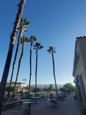 Pizza Di Marco by null