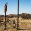 Michael D. Antonovich Regional Park at Joughin Ranch gift card