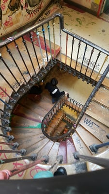 59 Rivoli by null