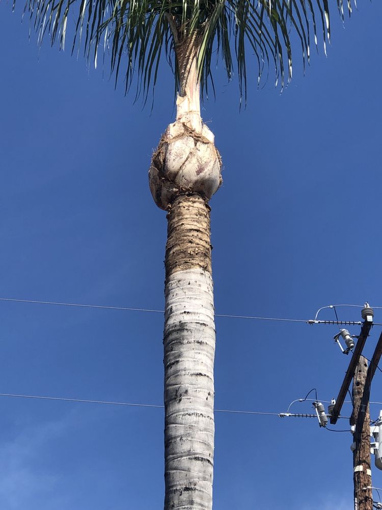 GM LANDSCAPE DESIGN Updated October 2024 Request a Quote Azusa