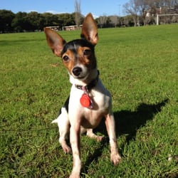 Fawkner Park - Rosie loves Fawkner Park