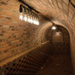 Oregonbrick - arched brick wine cellar, we were called because no other masons he called knew how to install it.
