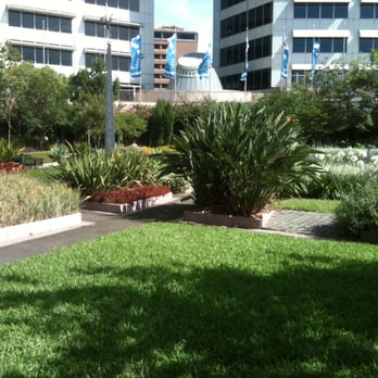 Darling Park - Local Flavor Near Me