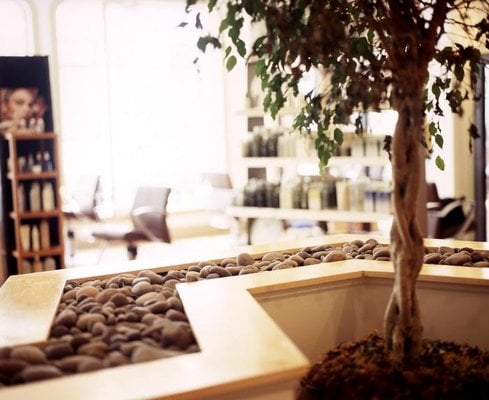 Refresh Oasis Day Spa Logo