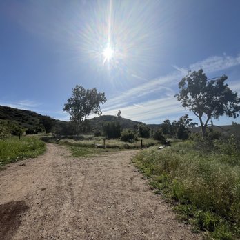Santiago Oaks Regional Park - split path - Parks Near Me - Orange, California