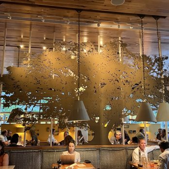 Founding Farmers Tysons - New American Near Me - Tysons, Virginia
