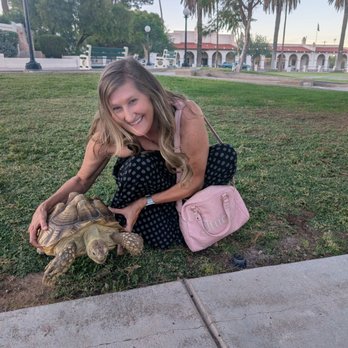 The Farmers Inn - The infamous Ajo turtle "Petunia". I think that's her name. She is 12 years old, I do remember that. - Bed & Breakfast Near Me - Ajo, Arizona