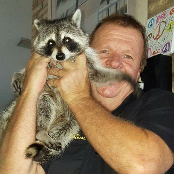 Highspeed Animal Trapping - Waldo and Me! - Pest Control Near Me - Deltona, Florida Highspeed Animal Trapping - Waldo and Me! - Pest Control Near Me - Deltona, Florida