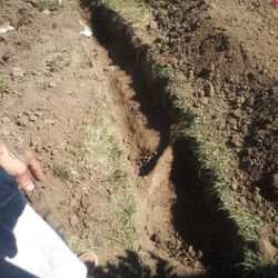 Mikeys Plumbing Service