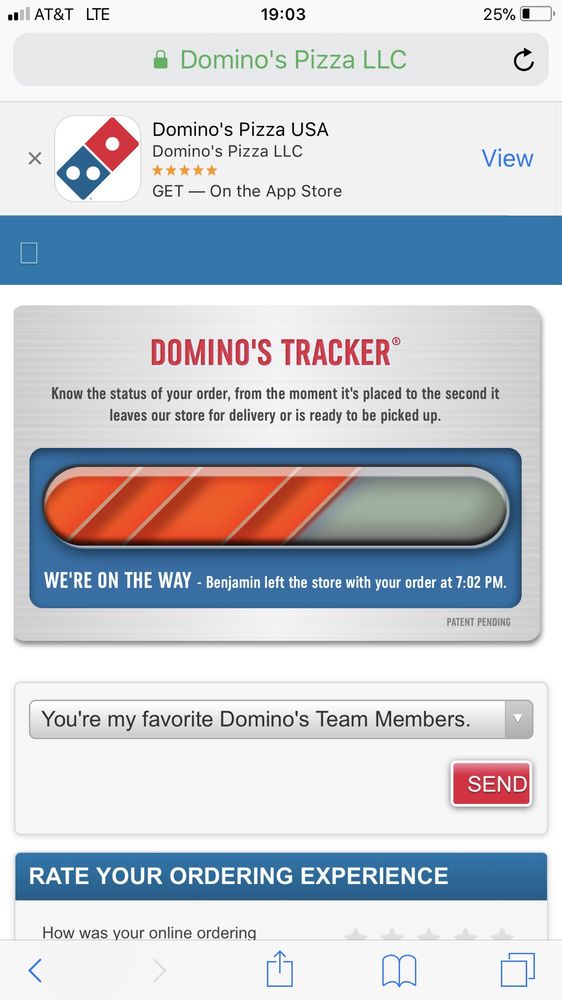 Domino's Pizza Logo