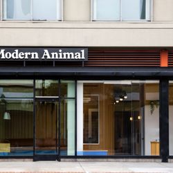 Modern Animal Downtown LA