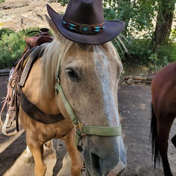 Rimrock Dude Ranch - Ranches Near Me - Cody, Wyoming