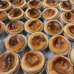 Stoughton Bakery & Cafe - Pasteis de Nata  Traditional portuguese pastry