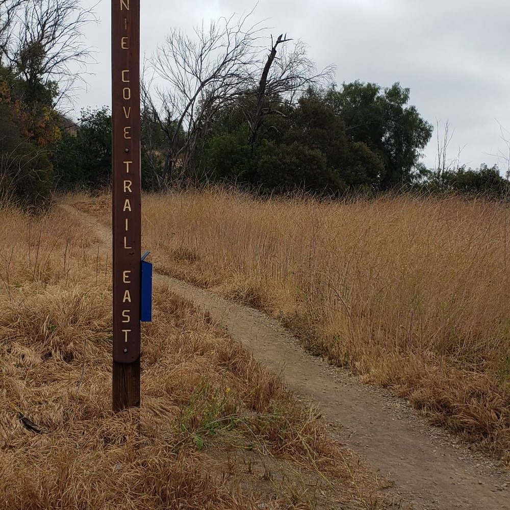Bonnie Cove - Hiking Near Me - Glendora, California