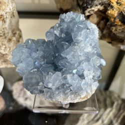 A Chip Off The Old Rock - Drool. Such an amazing collection.
