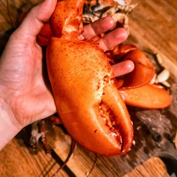 Pine River Fish Market - Huge claws - Seafood Markets Near Me - Revere, Massachusetts Pine River Fish Market - Huge claws - Seafood Markets Near Me - Revere, Massachusetts