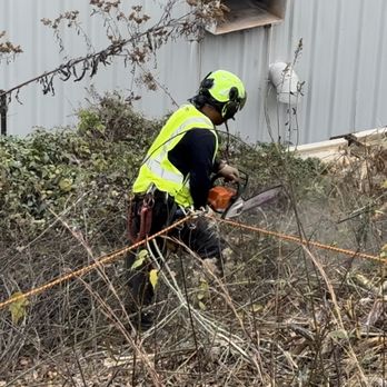ATL Tree Work - Crew using safety harnesses and equipment on a commercial project - Tree Services Near Me - Snellville, Georgia ATL Tree Work - Crew using safety harnesses and equipment on a commercial project - Tree Services Near Me - Snellville, Georgia