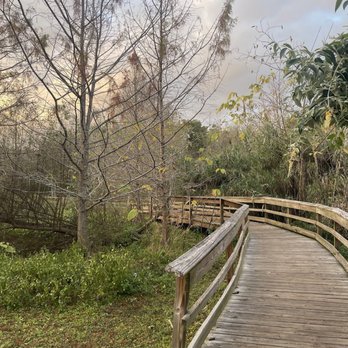 Mead Botanical Garden - The gardens - Botanical Gardens Near Me - Winter Park, Florida
