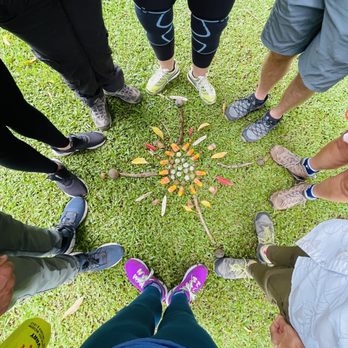 Forest Bathing Hawai'i - Walking Tours Near Me - Honolulu, Hawaii Forest Bathing Hawai'i - Walking Tours Near Me - Honolulu, Hawaii