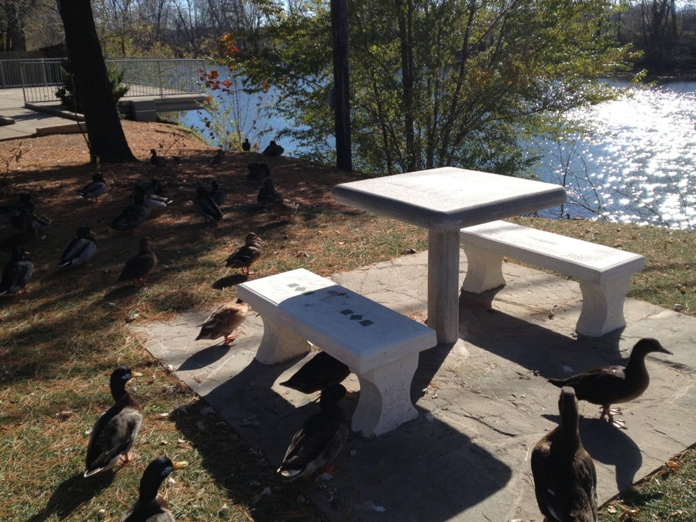 Social spots from Edgebriar Park