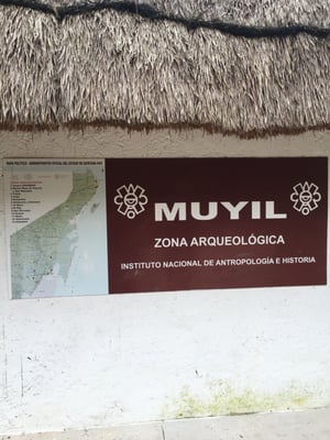 Zona Arqueológica de Muyil by null