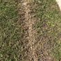Photo of Pressure Cleaning by Michael